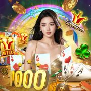 155bet